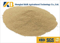 Non - Allergen Natural Feed Additive / Chicken Feed Protein High Biological Value