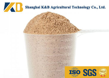 Profilo ben equilibrato dell'aminoacido dei prodotti della polvere del riso sbramato dell'OEM/alimentazione animale